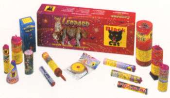 Leopard Box.JPG (10734 bytes)
